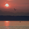 Late summer sunset