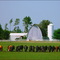 Cows in a Row