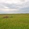 Buena Vista Wildlife Area