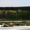 Mud lake on Twelve Falls Co Park road