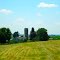 Amish Farm