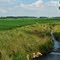 Parker Creek