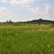 Parker Creek Public Fishing Land