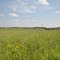 Kinnickinnic River Public Fishing Land