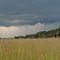 Kinnickinnic River Public Fishing Lands