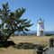 Light at Bush Point