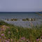 Lake Michigan shoreline (1)