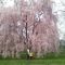 Staten Island Zoo Grounds