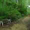 Lake Path