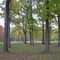 Roosevelt Park