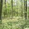 Jamesburg County Park