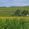 Loess hills south of Logan, Iowa