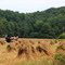 Bringing in the Sheaves