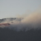 Black Cat fire 2007