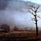 Fog Creeps Up Evaro Hill