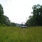 Safari in Ohio's Swiss Alps