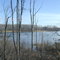 Marsh in Autumn