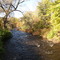 Little Salmon River in Autumn