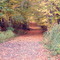Abandoned End of Gillette Road