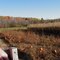 Godfrey's Pumpkin Patch, Palermo NY
