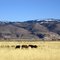 The Warner Range from the W