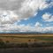 hay bails along the highway in southern Oregon