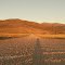 Washboard road at sunset