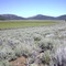 Camas Valley