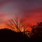 Rowlett sunrise