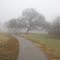 Rowlett Creek Park, Garland, Texas
