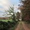 Country Lane