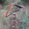 Bob's Cut Down Tree