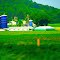 Dairy Farm near Roxbury