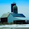 Townline Dairy Farm