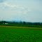 Blue Mounds