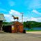 Horse Statue on top of a shed