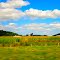 Bruenig's Misty Valley Farms