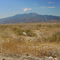 San Jacinto 8-2001