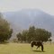 Spring in the Valley