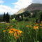 Eagles Nest Wilderness, Colorado