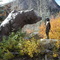 Sculpture of a bear and child - Frisco CO