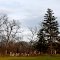 Williamsburch Cemetery