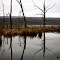 Reflections in Conesus Inlet
