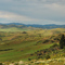 Green Ola pano