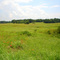 Illinois Caverns State Natural Area - prairie atop Karst topography