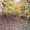 Capen Park trail in fall