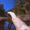 Missouri, Rock Bridge State Park
