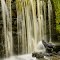 Old Mill Dam at Cedarock