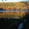 Locust Lake from South Shore