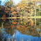 Locust Lake Outlet Pond